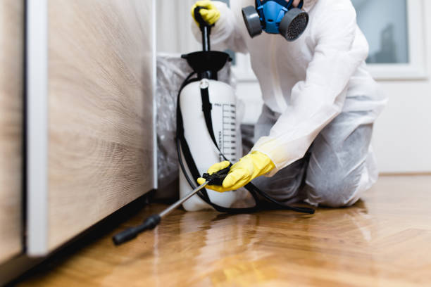 Best Wasp Removal Services  in Comstock Park, MI