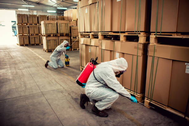Best Bed Bug Extermination  in Comstock Park, MI