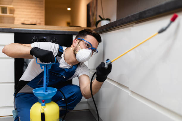 Best Wildlife Control Services  in Comstock Park, MI
