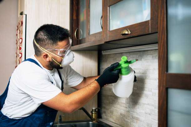 Best Exterminator Services  in Comstock Park, MI