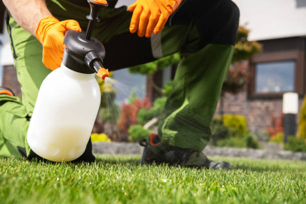 Best Emergency Pest Control  in Comstock Park, MI