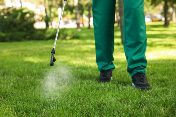 Best Local Pest Control Services  in Comstock Park, MI