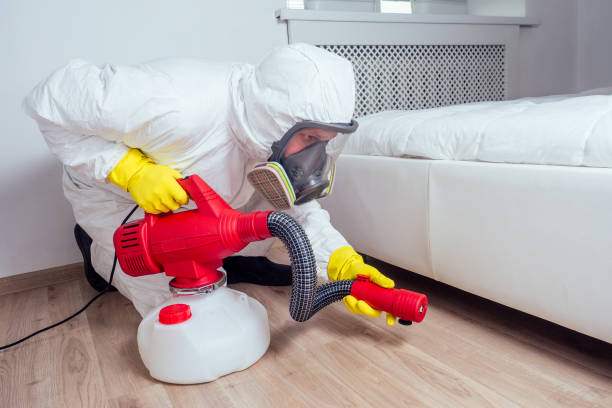 Best Flea Control Services  in Comstock Park, MI