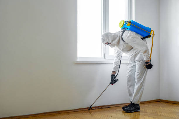 Best Residential Pest Control  in Comstock Park, MI
