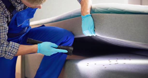 Professional Pest Control in Comstock Park, MI