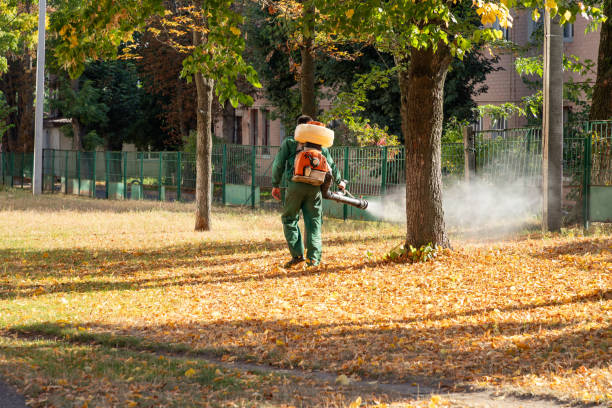 Pest Control for Restaurants in Comstock Park, MI