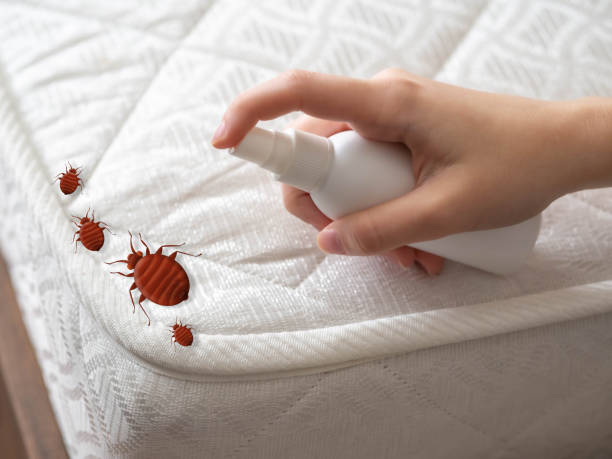 Best Cockroach Control Services  in Comstock Park, MI