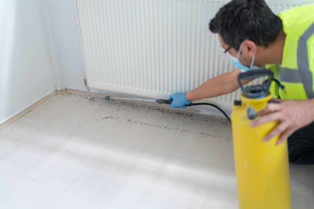Best Best Pest Control Companies  in Comstock Park, MI